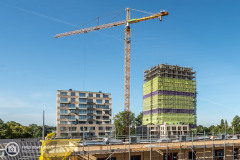 20200918_amersfoort_hogekwartier_veld-6_006