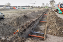 20190305-amersfoort_hogekwartier_veld-8-001